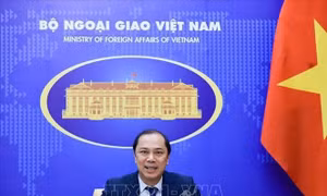 Thứ trưởng Ngoại giao Nguyễn Quốc Dũng hội đàm với Quốc vụ khanh Bộ Ngoại giao Đức