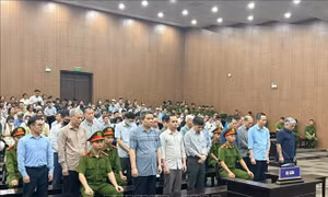 Giám đốc Công ty Hoàng Dân kháng cáo xin giảm nhẹ hình phạt