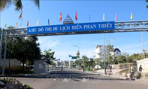 Yêu cầu cung cấp thông tin tài sản của 2 tổ chức và 30 cá nhân tại Bình Thuận