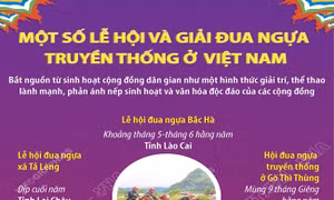 Một số lễ hội và giải đua ngựa truyền thống ở Việt Nam