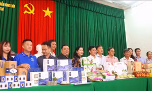 Sản phẩm du lịch đầu tiên ở Đồng bằng sông Cửu Long được xếp hạng OCOP