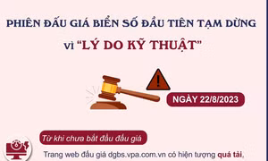 Phiên đấu giá biển số đầu tiên tạm dừng vì 'lý do kỹ thuật'