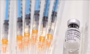 Quản lý thị trường sẽ tập huấn trực tuyến phân biệt vaccine của hãng Pfizer