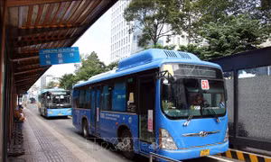 Điểm tin kinh tế Việt Nam nổi bật ngày 19/6/2026