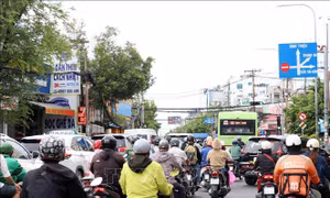 TP Hồ Chí Minh: Gỡ hai 'nút thắt' để đồng bộ nâng cấp, mở rộng Quốc lộ 13