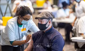 Đánh giá mối liên hệ giữa tiêm vaccine ngừa COVID-19 với bệnh viêm cơ tim