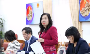 Khởi động công tác tuyên truyền và văn hóa cho năm APEC 2027