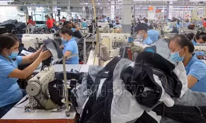 Phú Yên: Tìm kế sinh nhai cho người dân về quê tránh dịch