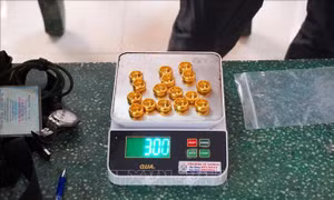 Bắt giữ đối tượng mang lượng lớn vàng nhập cảnh vào Việt Nam