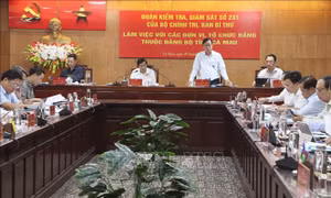 Đoàn kiểm tra giám sát số 231 làm việc với Đảng bộ tỉnh Cà Mau