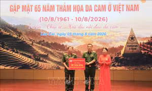 Huy động nguồn lực chăm lo nạn nhân da cam