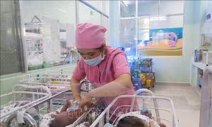 Gần 2.500 trẻ chào đời trong ngày mùng 1 Tết Quý Mão