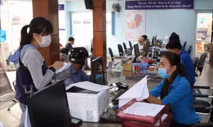 Phê duyệt Đề án nâng cao năng lực đội ngũ cán bộ trẻ
