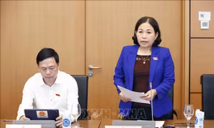 Đề nghị xử lý vi phạm đối với tổ chức, cá nhân trúng đấu giá nhưng bỏ cọc