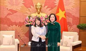 Phó Chủ tịch Quốc hội Nguyễn Thị Thanh tiếp lãnh đạo UNICEF và CRC