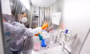Nhiều nước đặt mua vaccine phòng bệnh đậu mùa khỉ của hãng Bavarian Nordic
