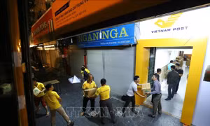 Bưu điện Việt Nam xây dựng phương án hỗ trợ vận chuyển hàng hóa cứu trợ vùng lũ