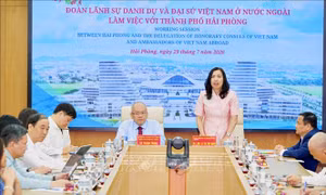 Phát huy nội lực, coi hợp tác quốc tế là động lực quan trọng cho phát triển