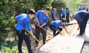 Tháng Thanh niên 2024: Phát huy tinh thần xung kích vì cộng đồng