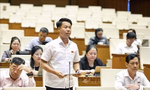 Bảo đảm hoạt động giám sát gắn kết với hoàn thiện chính sách, pháp luật