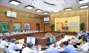 Đảng đoàn Quốc hội và Ban Cán sự Đảng Chính phủ chuẩn bị cho Kỳ họp thứ 6, Quốc hội khoá XV