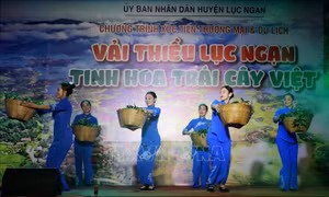 Vải thiều Lục Ngạn - Tinh hoa trái cây Việt