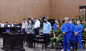 Vụ thất thoát tại dự án cơ sở 2 của hai bệnh viện: Trách nhiệm chính thuộc vai trò tham mưu, đề xuất