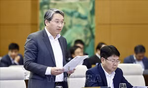 Bổ sung quy định về chế tài với người đứng đầu trong xây dựng, ban hành, thực thi pháp luật