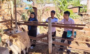 Làm lại cuộc đời nhờ vốn vay chính sách