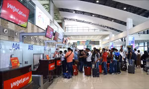 Đáp ứng nhu cầu du lịch hè trong bối cảnh vé máy bay giá cao