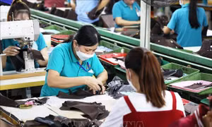 Hỗ trợ người lao động bị giảm giờ làm, chấm dứt hợp đồng