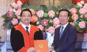 Chủ tịch nước trao Quyết định bổ nhiệm Thẩm phán Tòa án nhân dân tối cao