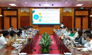 Hợp tác, đào tạo nguồn nhân lực chất lượng cao
