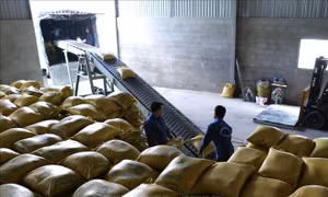Gỡ khó trong tiêu thụ lúa gạo