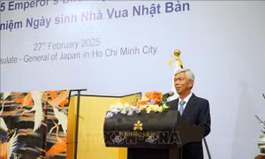 Củng cố quan hệ hợp tác giữa Thành phố Hồ Chí Minh và đối tác Nhật Bản