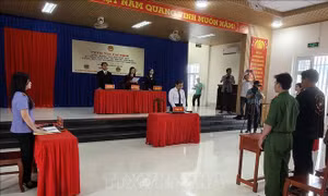 Tổ chức nhiều phiên tòa giả định chống khai thác IUU tại Cà Mau