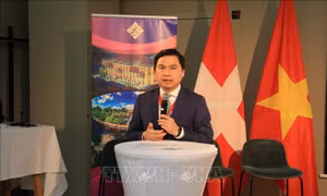 Khai phá tiềm năng hợp tác giữa địa phương Việt Nam và Thụy Sĩ