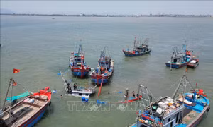 Nghệ An lai dắt thành công tàu cá bị chìm vào bờ an toàn