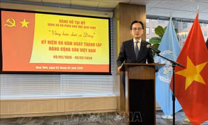 Phát huy vai trò tiên phong của công tác đối ngoại tại LHQ