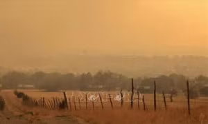Nguy cơ cháy rừng lan rộng tại bang New Mexico của Mỹ