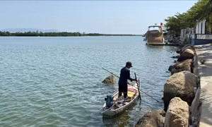 Ngăn chặn nạn dùng kích điện tận diệt thủy sản tại đầm Thị Nại