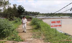 Vĩnh Long công bố tình huống khẩn cấp sự cố sạt lở đê bao Bắc rạch Trà Cú