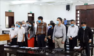 Xét xử vụ Gang thép Thái Nguyên: Các bị cáo ăn năn hối hận và xin được giảm nhẹ hình phạt