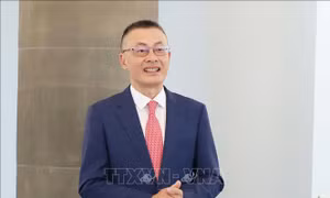 Đại sứ Vũ Quang Minh: 'Việt Nam luôn nỗ lực cùng cộng đồng quốc tế hành động vì các mục tiêu phát triển bền vững'