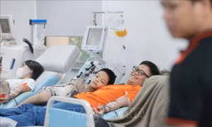 Khi hiến máu trở thành 'thói quen yêu thương'
