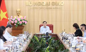 Bộ trưởng Ngoại giao Lê Hoài Trung chủ trì rà soát, đôn đốc việc thực hiện các cam kết, thỏa thuận quốc tế 