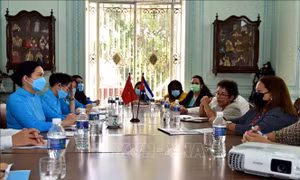 Việt Nam và Cuba chia sẻ kinh nghiệm nâng cao vai trò của phụ nữ
