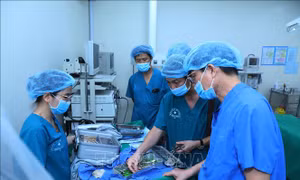 Cần có phương án giữ chân bác sĩ sau đào tạo, tránh 'chảy máu chất xám'