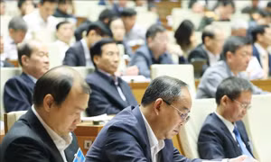 Tổng kết Nghị quyết số 18-NQ/TW: Nhiệm vụ của các tỉnh ủy, thành ủy trực thuộc Trung ương 
