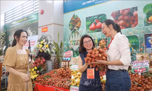 Bắc Ninh: Ứng dụng chuyển đổi số, mở rộng đầu ra cho nông sản